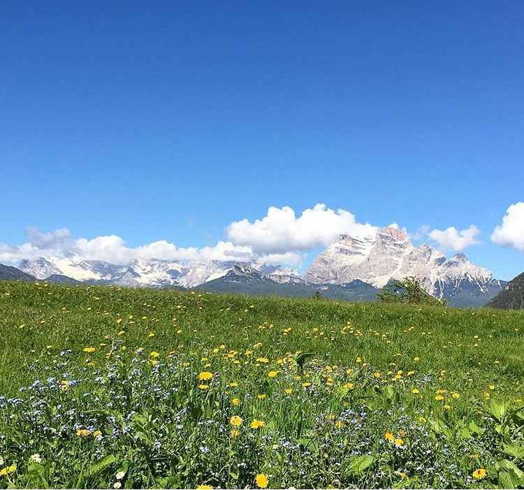 immagini/galleria immagini/FullSizeRender 8 - Rifugio Costapiana - Valle di Cadore